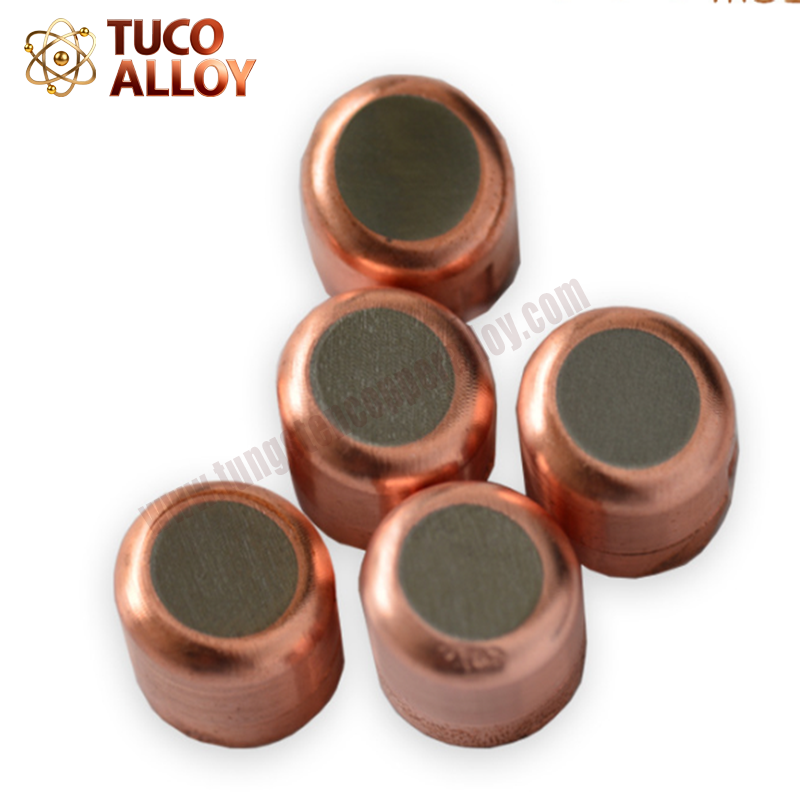 Custom Tungsten Copper Alloy Parts