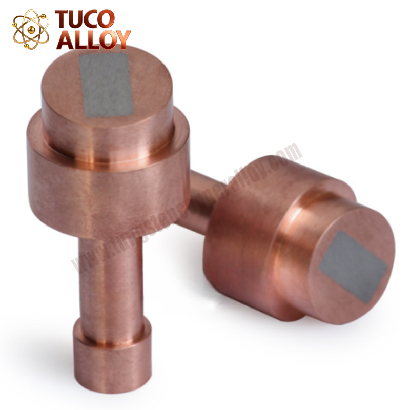 Custom Tungsten Copper Alloy Parts
